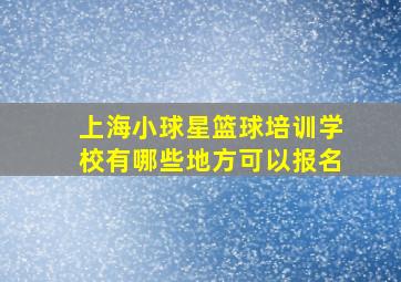 上海小球星篮球培训学校有哪些地方可以报名