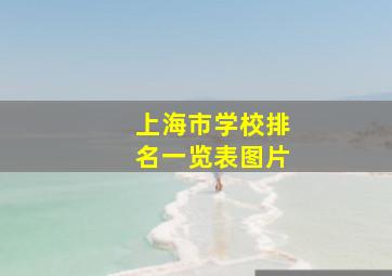 上海市学校排名一览表图片