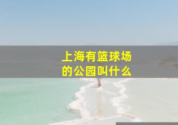 上海有篮球场的公园叫什么