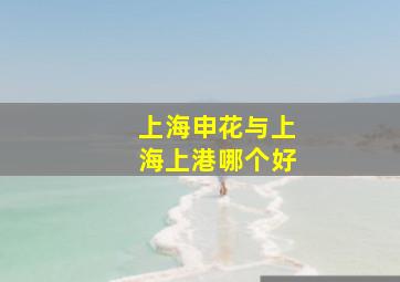 上海申花与上海上港哪个好