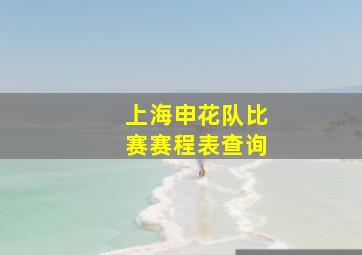 上海申花队比赛赛程表查询