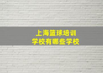 上海篮球培训学校有哪些学校