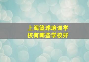 上海篮球培训学校有哪些学校好