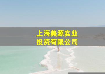 上海美源实业投资有限公司