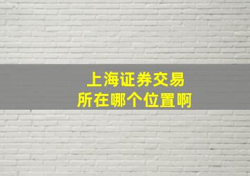 上海证券交易所在哪个位置啊