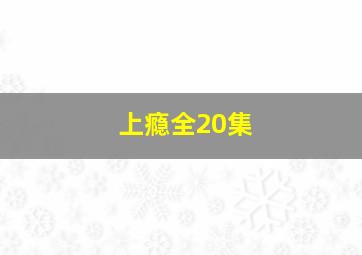 上瘾全20集