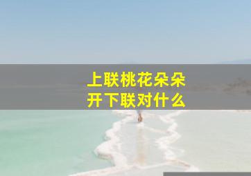 上联桃花朵朵开下联对什么