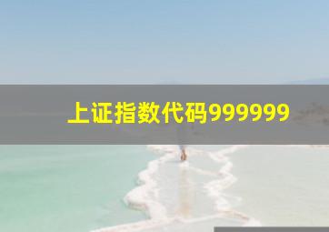 上证指数代码999999