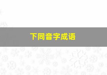 下同音字成语