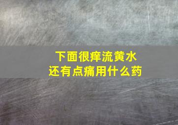 下面很痒流黄水还有点痛用什么药