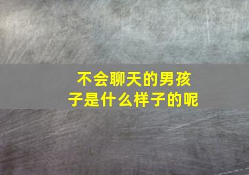 不会聊天的男孩子是什么样子的呢