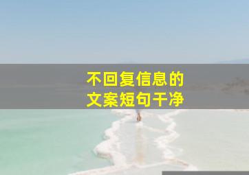 不回复信息的文案短句干净