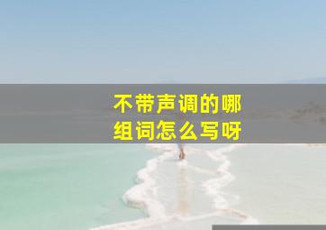 不带声调的哪组词怎么写呀