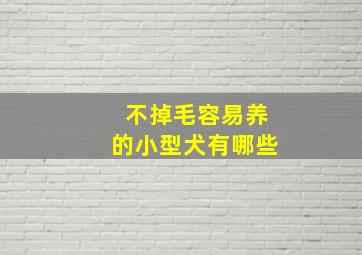 不掉毛容易养的小型犬有哪些