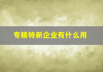 专精特新企业有什么用