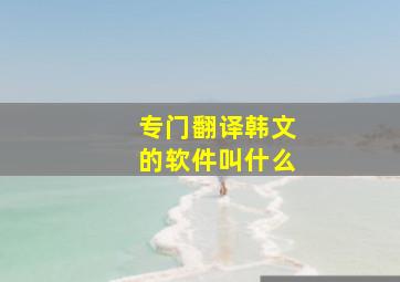 专门翻译韩文的软件叫什么