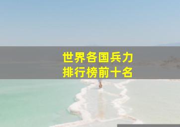 世界各国兵力排行榜前十名