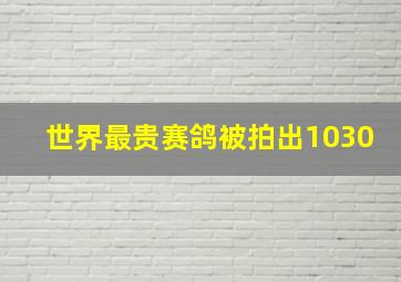 世界最贵赛鸽被拍出1030