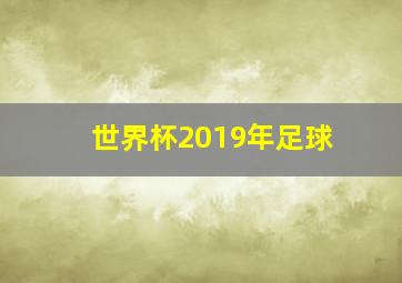 世界杯2019年足球