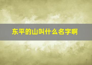 东平的山叫什么名字啊