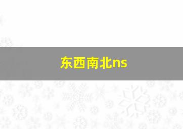 东西南北ns