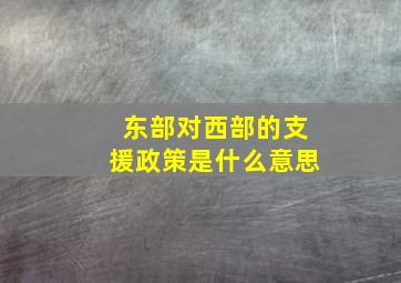 东部对西部的支援政策是什么意思