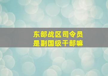 东部战区司令员是副国级干部嘛