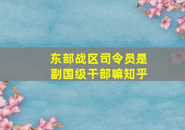 东部战区司令员是副国级干部嘛知乎