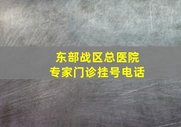 东部战区总医院专家门诊挂号电话