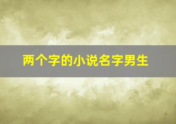 两个字的小说名字男生