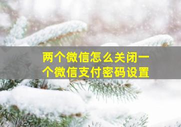 两个微信怎么关闭一个微信支付密码设置