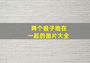 两个猴子抱在一起的图片大全