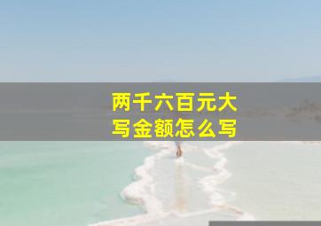 两千六百元大写金额怎么写