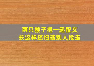 两只猴子抱一起配文长这样还怕被别人抢走