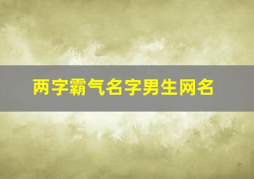 两字霸气名字男生网名