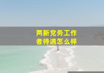 两新党务工作者待遇怎么样