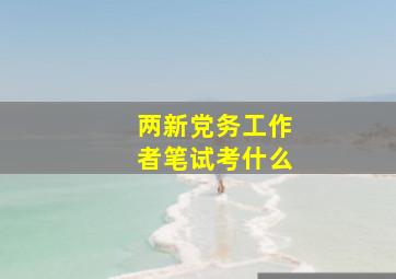 两新党务工作者笔试考什么