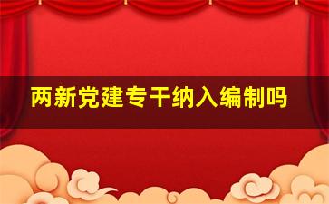 两新党建专干纳入编制吗