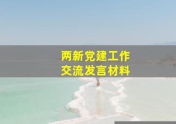 两新党建工作交流发言材料