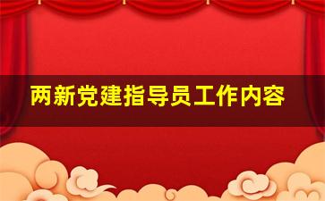 两新党建指导员工作内容