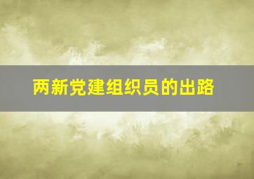 两新党建组织员的出路