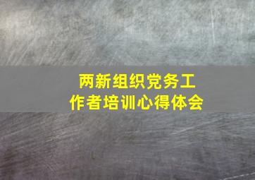 两新组织党务工作者培训心得体会