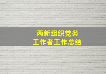 两新组织党务工作者工作总结