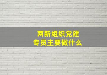 两新组织党建专员主要做什么