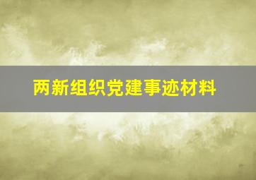 两新组织党建事迹材料