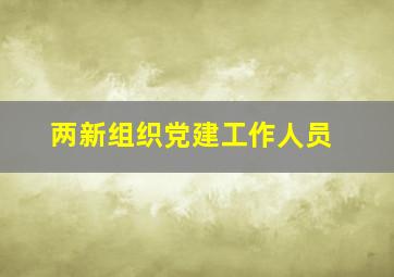 两新组织党建工作人员