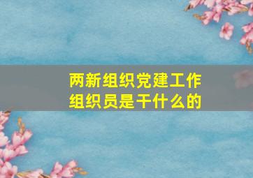 两新组织党建工作组织员是干什么的