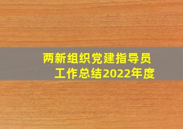 两新组织党建指导员工作总结2022年度