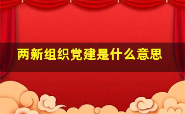 两新组织党建是什么意思