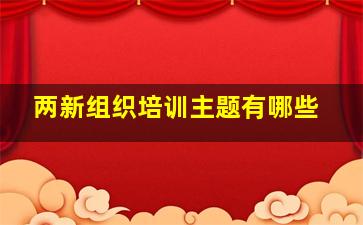 两新组织培训主题有哪些